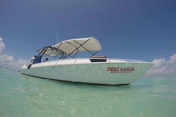 Whale shark encounter Private tour - swim with whale shark cancun - Playa Norte and the slower end to the day