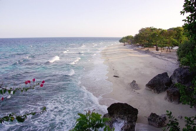 Whale Shark Encounter & Sumilon Sandbar & Canyoneering in Kawasan Falls - Key points to know before booking