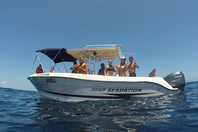 Whale Shark Experience from Playa del Carmen - Ceviche and guacamole near Isla Mujeres