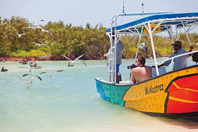 Whale Shark Group Adventure from Isla Holbox - Cabo Catoche and the Cuevones reef