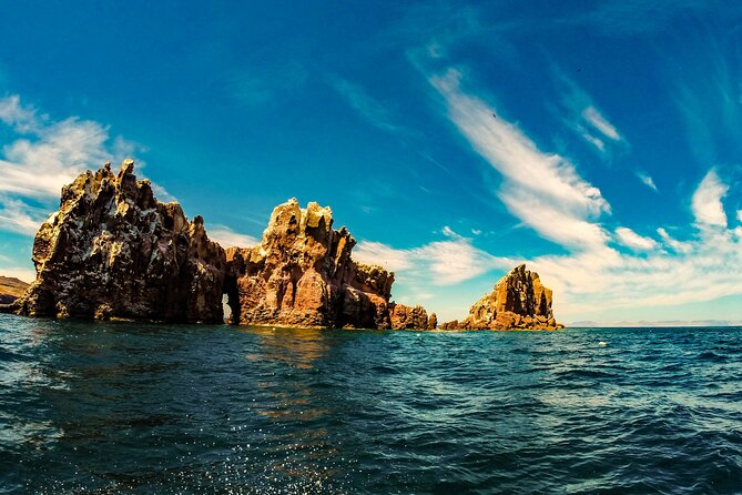Whale Shark & Sea Lion Snorkeling Picnic at Espiritu Santo Island - The Guide Makes the Difference