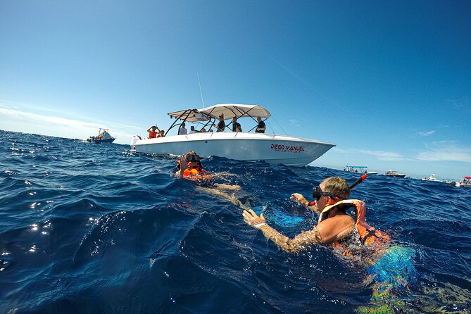 Whale Shark Snorkeling Adventure with Lunch - Practical ways to make the day better