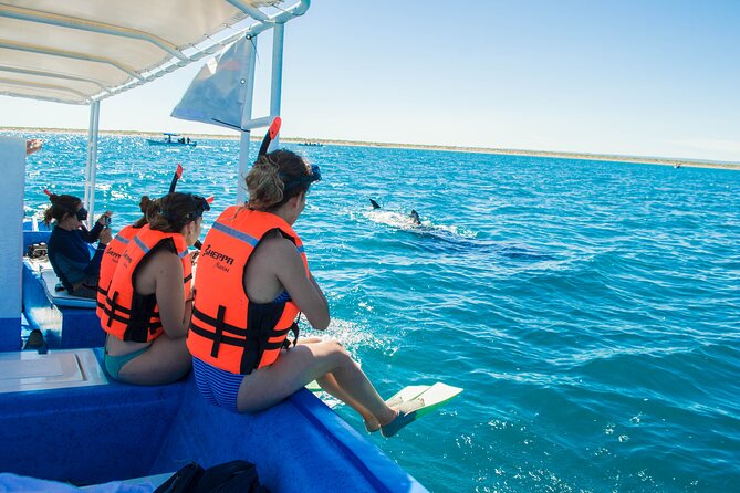 Whale Shark snorkeling tour in a reduced group with local marine biologist - Entering the water in small groups