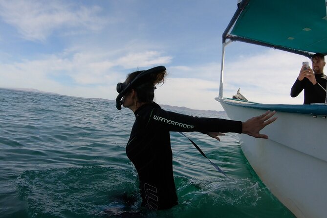Whale Shark Swimming Adventure: Small Group with Marine Biologist - Water conditions can change the whole outing