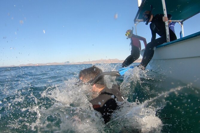 Whale Shark Swimming Adventure: Small Group with Marine Biologist - Wildlife sightings are exciting, but never certain