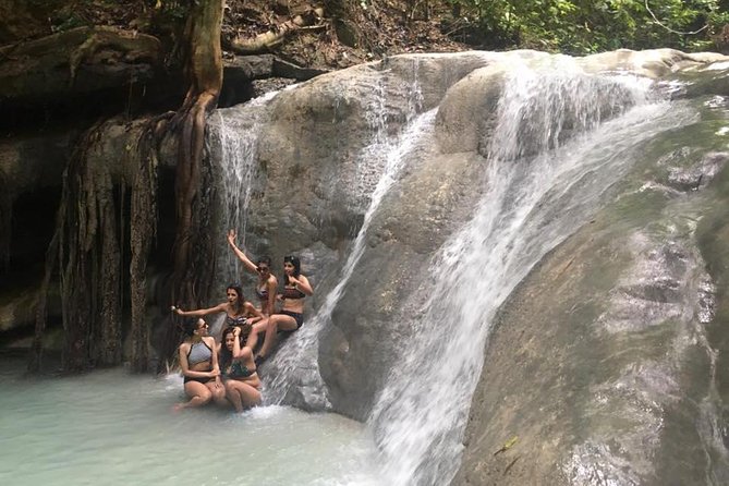 Whale Shark Swimming Experience and Aguinid Falls from Cebu - What makes Aguinid Falls different