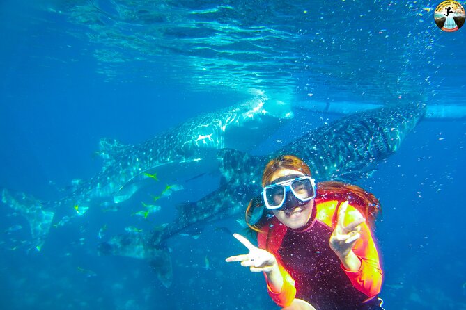 Whale Shark Swimming, Tumalog Falls and Kawasan Canyoneering - The five details that matter most