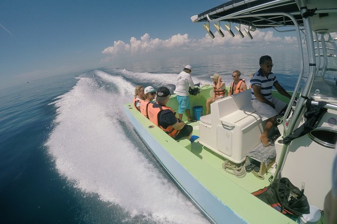 Whale Shark Tour from Cancun, Playa del Carmen, Tulum and Riviera Maya - Meeting the whale sharks in open water