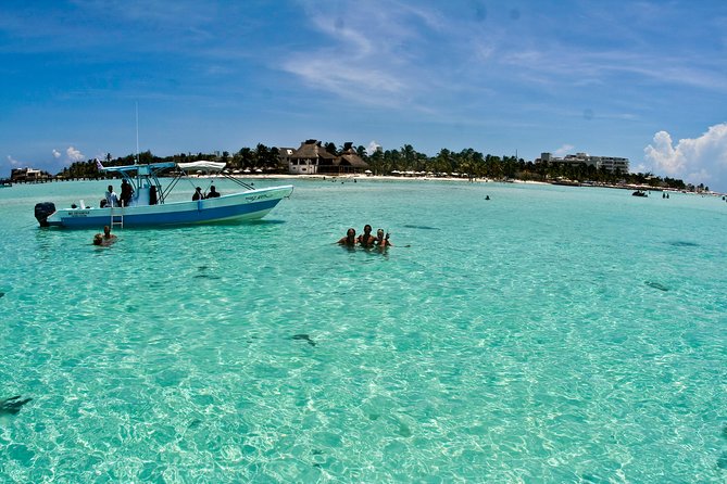 Whale Shark Tour from Cancun, Playa del Carmen, Tulum and Riviera Maya - What the $199 price covers, and what it does not