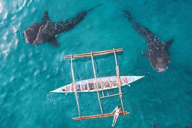 Whale Shark & Tumalog Falls & Sumilon Sandbar & Pescador Island with Sardines - Practical packing advice for a wet, long day