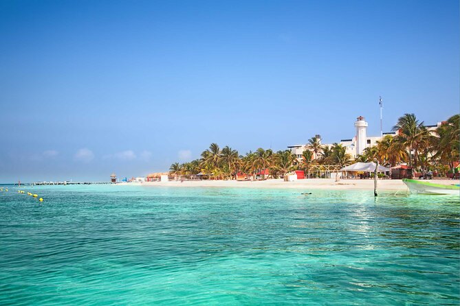 Whale Shark Watching and Snorkeling Experience on Contoy Island - Who will enjoy this tour most