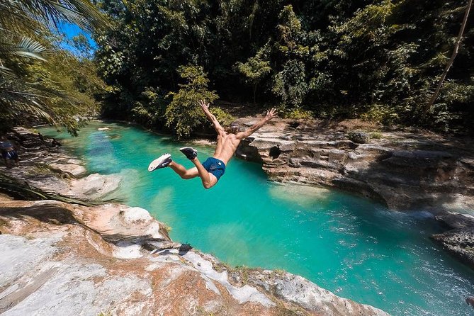 Whale Shark Watching & Tumalog Falls & Kawasan Falls - Why this three-stop Cebu day works