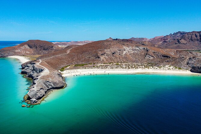 Whale sharks and sea lions snorkeling plus Balandra beach lunch - Key points to know before booking