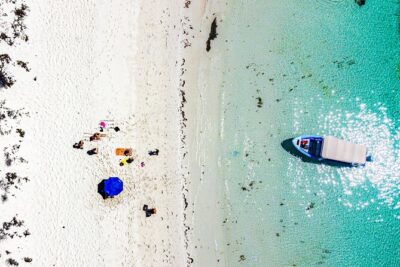 Whale sharks and sea lions snorkeling plus Balandra beach lunch