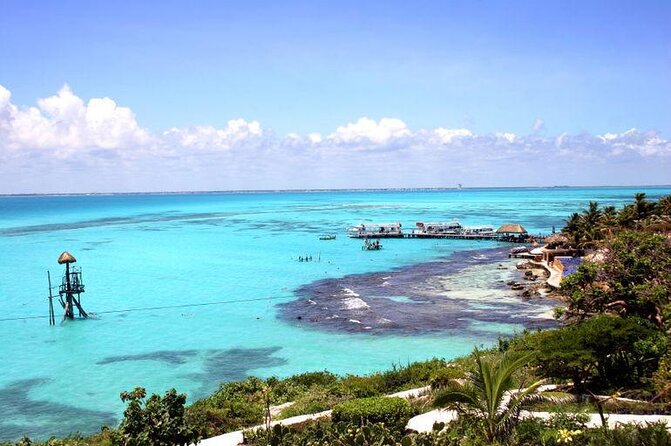 Whale Sharks Small-Group Tour in Cancun and Riviera Maya - Key points before you book