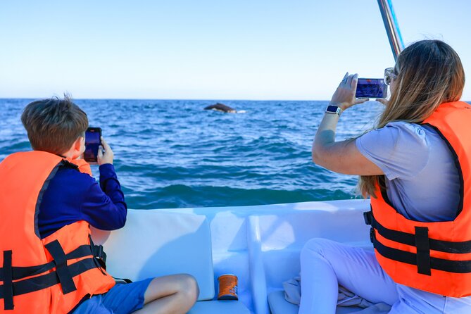 Whale Tour, Arch, Professional Photos & Hydrophone - Starting at the Cabo Marina