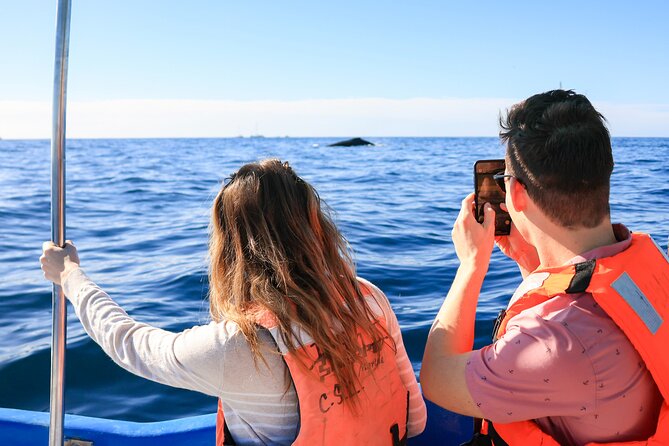 Whale Tour, Arch, Professional Photos & Hydrophone - Professional Photos Without Carrying the Whole Job Yourself