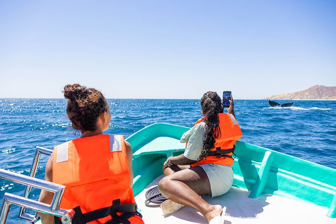 Whale Tour, Arch, Professional Photos & Hydrophone - Cabo’s Arch as the First Big Sight