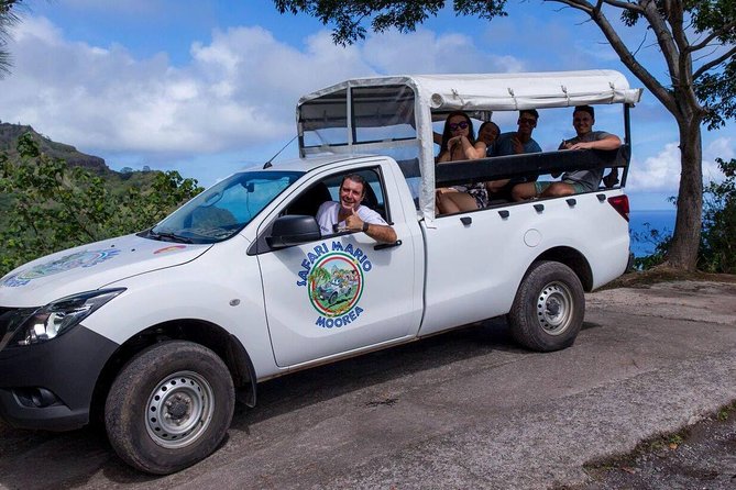 Whale Tour - Observe and swim with whales - Is $270.63 a fair price?