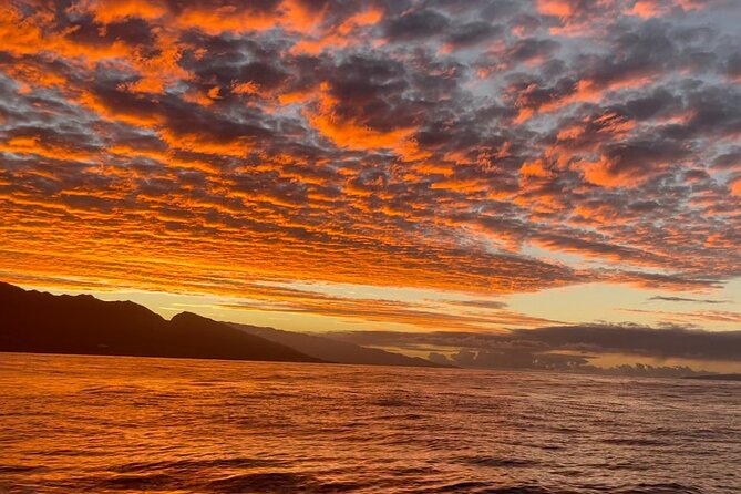 Whale Watch and Scenic Tour from Kayak - Setting out from Olowalu Beach