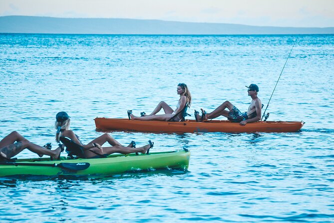 Whale Watch and Scenic Tour from Kayak - What the tour includes, and what you should bring