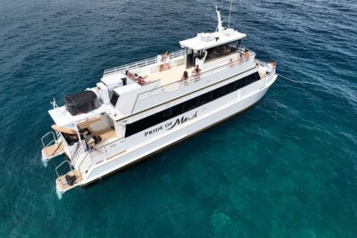 Whale Watch and Turtles Snorkel