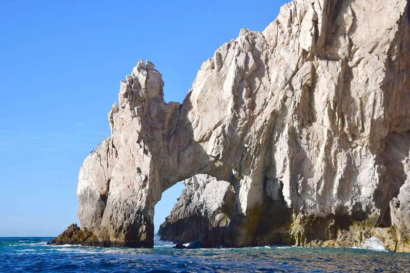 Whale Watch Cabo: Zodiac Whale Adventure - FREE Photos - Who should book, and who should skip it?