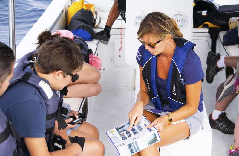 Whale Watch Cabo: Zodiac Whale Adventure - FREE Photos - Pelican Rock, Lovers Beach, and the Arch come first