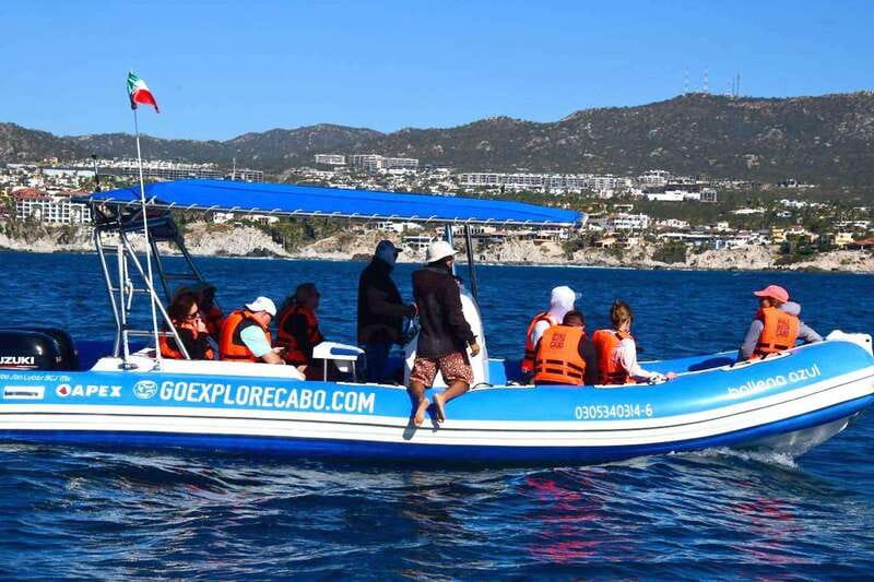 Whale Watch Cabo: Zodiac Whale Adventure - FREE Photos - Is $122 fair for this Cabo whale tour?