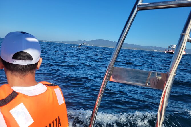 Whale watching 3 hours in Puerto Vallarta - The extra port charge and the real cost