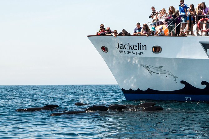 Whale Watching - The small-group format and guide experience