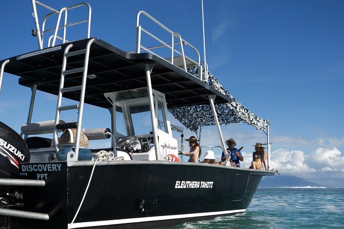 Whale Watching Activity - Who will enjoy this most