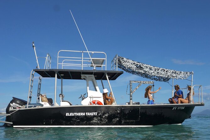 Whale Watching Activity - Why six people in the water matters