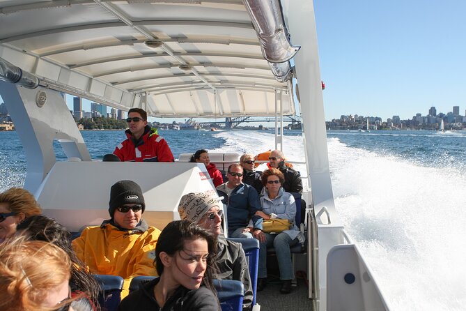 Whale Watching Adventure Cruise - The Fast Run to Open Water