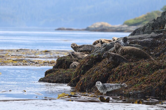 Whale Watching Adventure from Vancouver BC - Setting out from Steveston Village