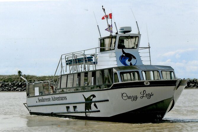 Whale Watching Adventure from Vancouver BC - The naturalist makes the difference