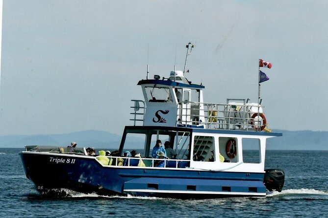 Whale Watching Adventure from Vancouver BC - Weather, clothing, and comfort