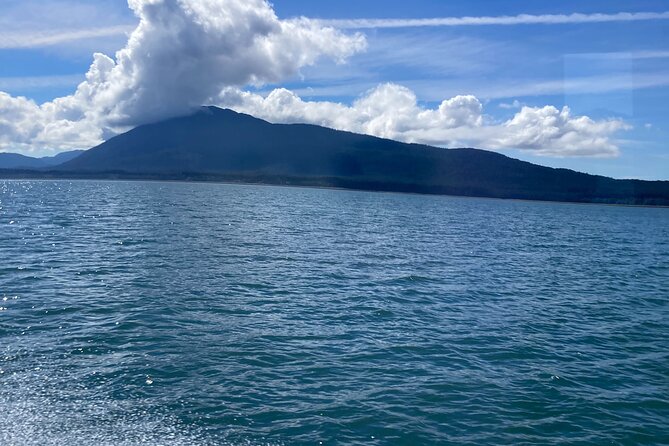 Whale Watching Adventure in Juneau - What the naturalist adds