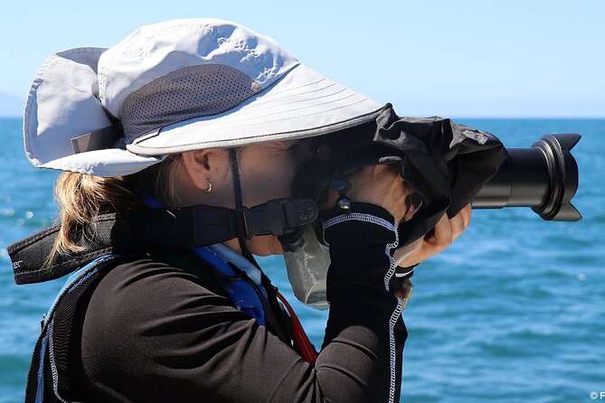 Whale Watching Adventure – Led by a Marine Biologist - The hydrophone is the feature I would not skip