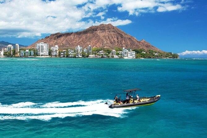 Whale Watching Adventure -Speed Boat & Small Group - Leaving from Kewalo Basin near Ala Moana