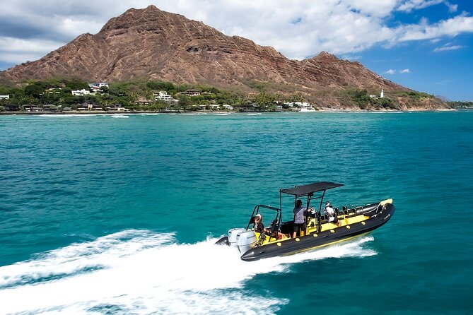 Whale Watching Adventure -Speed Boat & Small Group - Watching for whales near Honolulu