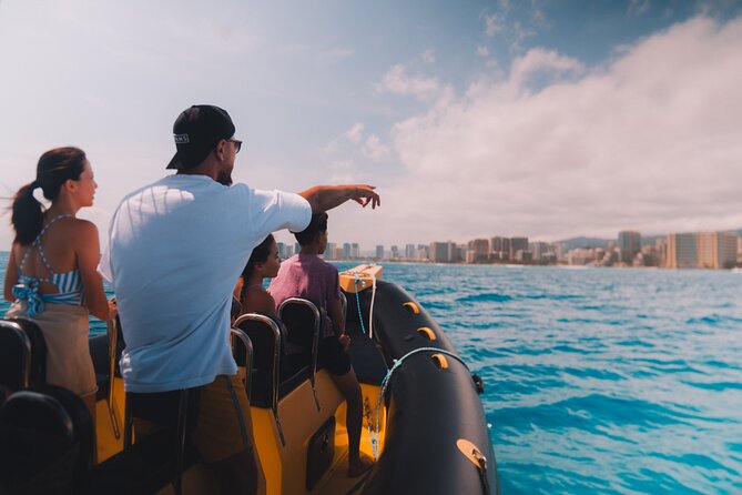 Whale Watching Adventure -Speed Boat & Small Group - More than whales: turtles, dolphins, and clear water