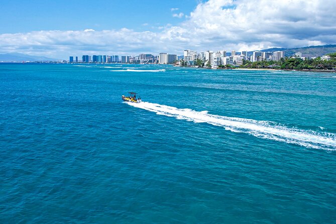 Whale Watching Adventure -Speed Boat & Small Group - Is $105 a fair price?