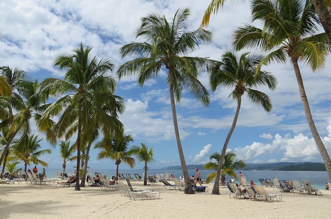 Whale Watching and Bacardi Island day trip from Punta Cana - Who should book this excursion
