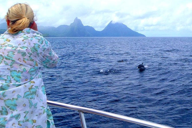 Whale Watching and Dolphin Spotting Cruise - Leaving Choc for St Lucia’s Northern Waters