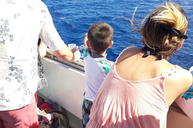 Whale Watching and Dolphin Spotting Cruise - Drinks Are Included, Snacks Are Not