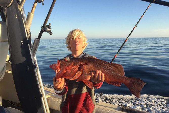 Whale Watching and Fishing Combination Excursions - What three hours really gives you