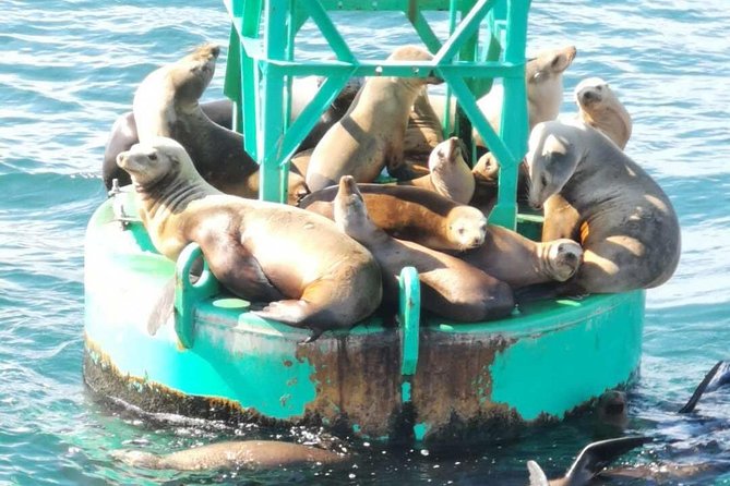 Whale Watching and Fishing Combination Excursions - Is $170 a fair price?