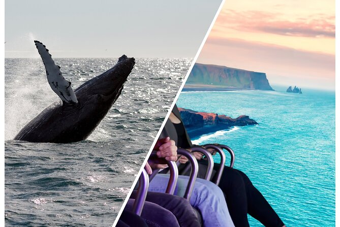 Whale Watching And Fly Over Iceland Guided Tour - Key points to know before booking