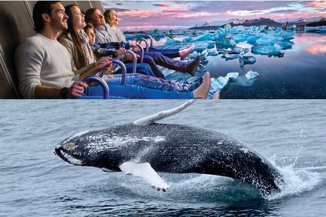 Whale Watching And Fly Over Iceland Guided Tour - Faxaflói Bay by boat